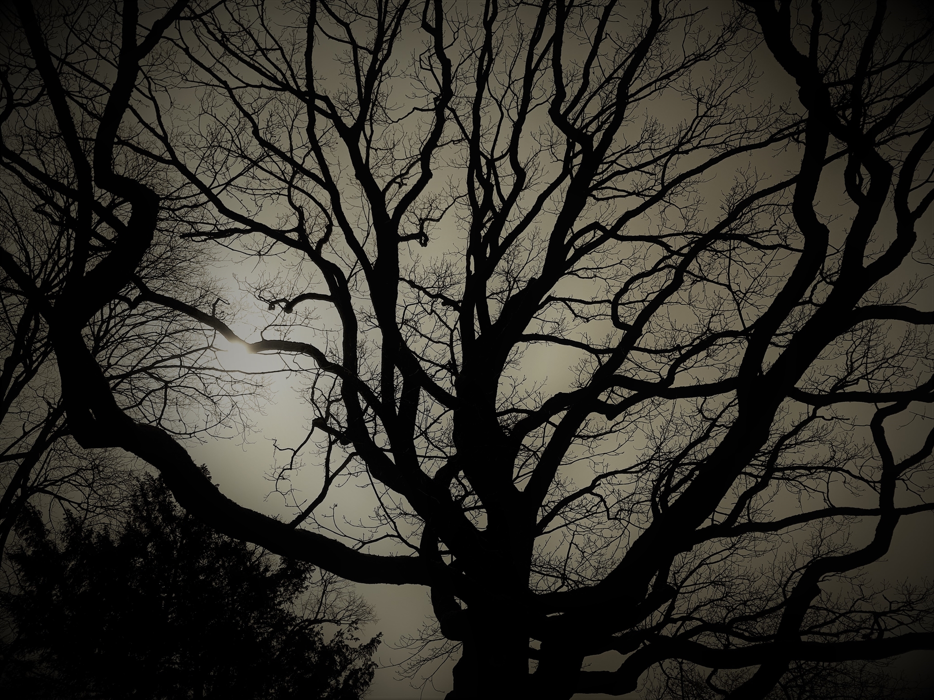 Jahreszeiten im Wandel