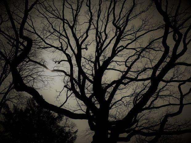 Jahreszeiten im Wandel