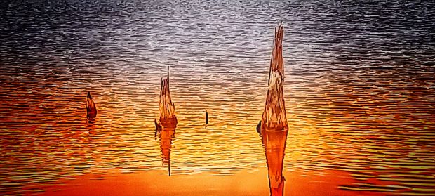 Schwenninger Moos Vision