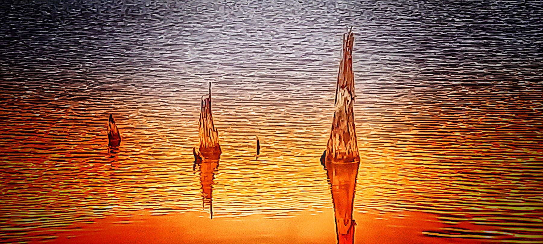 Schwenninger Moos Vision