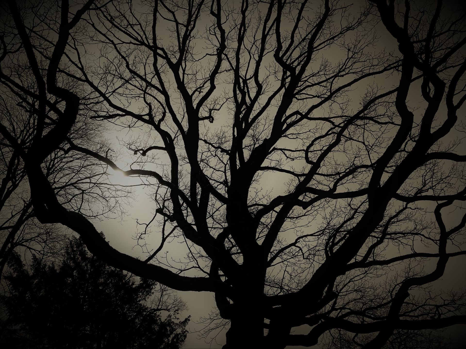 Jahreszeiten im Wandel